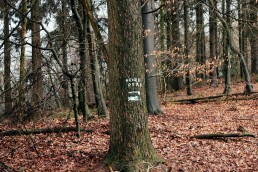 Hexenpfad im Teutoburger Wald