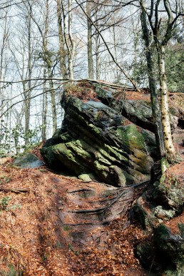 Rolandgrab Teutoburger Wald Tecklenburg