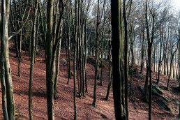 Varusfelsen im Teutoburger Wald