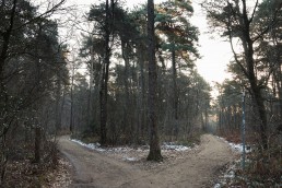 Teutoburger Wald Hermannsweg Gabelung