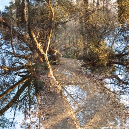 Teutoburger Wald Hermannsweg