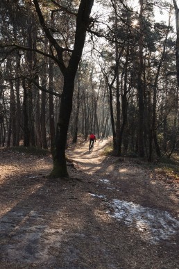 Radfahren im Teutoburger Wald