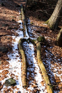 Teutoburger Wald Stimmgabel